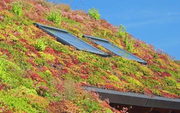 Ganwick Corner living roof systems